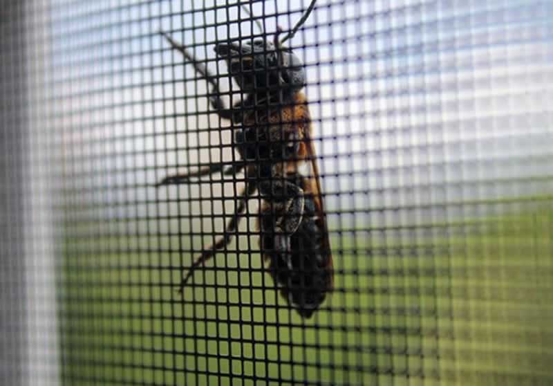 18x16 Mesh Fiberglass Window Insect Screen
